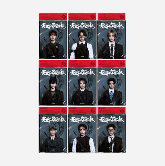 &TEAM - 3rd Single Go in Blind (Solo Ver.)